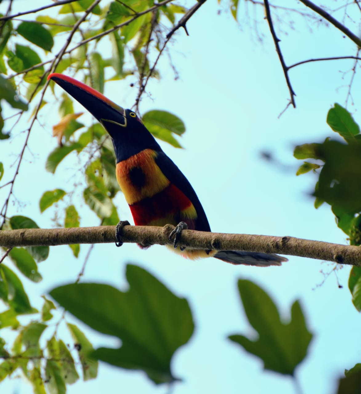 Corcovado National Park Sirena Ranger Station