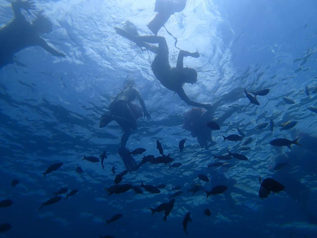 Caño Island Snorkeling